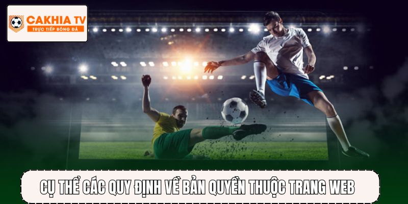 Cụ thể các quy định về bản quyền thuộc trang web