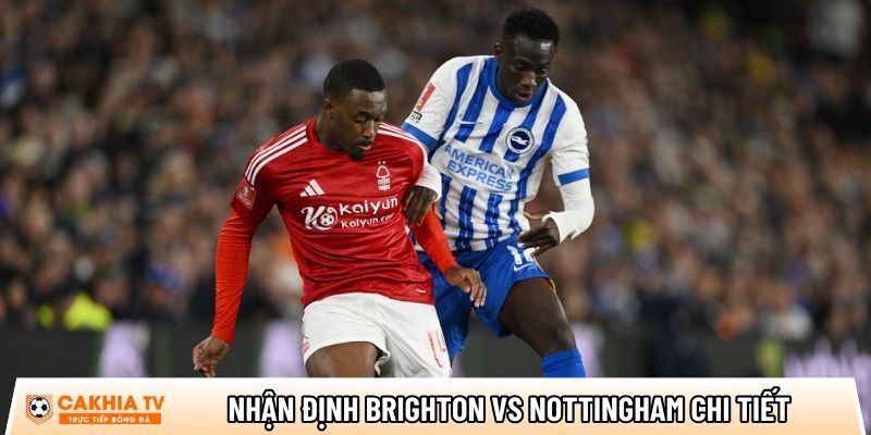 Nhận định Brighton vs Nottingham chi tiết