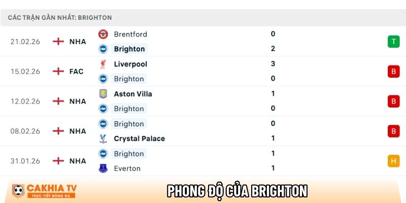 Phong độ của CLB Brighton