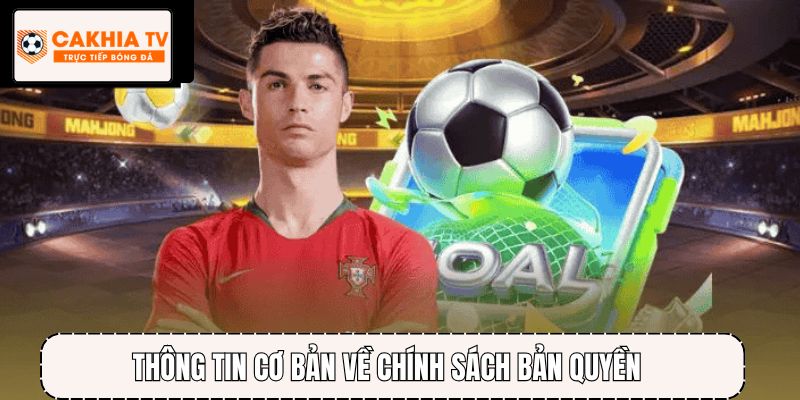 Thông tin cơ bản về chính sách bản quyền