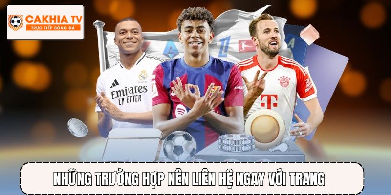 Những trường hợp người dùng nên liên hệ ngay với trang